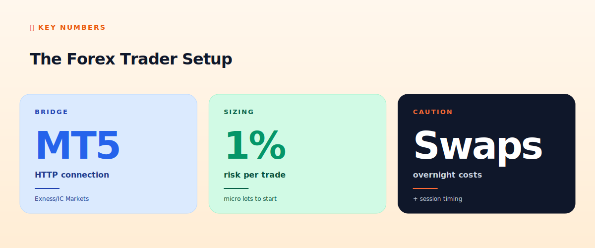 The forex trader setup
