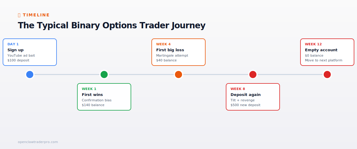 Typical binary options trader journey