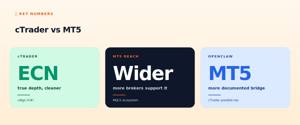 cTrader vs MT5
